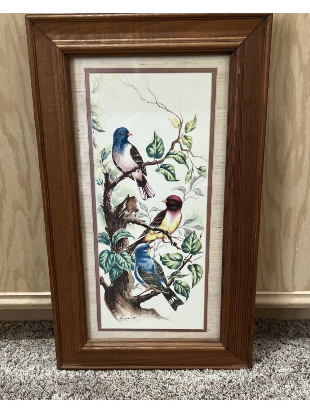 Vintage Bird Water Color Print Artwork Wood & Glass Frame  21.5” X 13.75”
